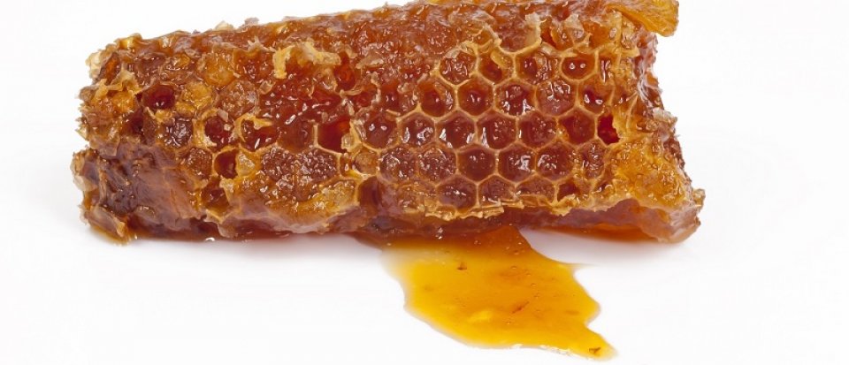 A mézes sebkezelés hatásai